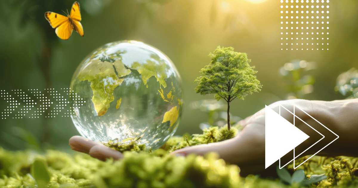 ISO 14001 y gestión ambiental