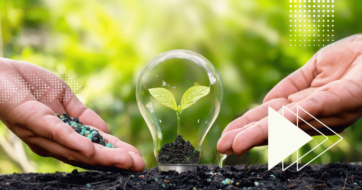 Todo lo que Debes Saber sobre la Norma ISO 14001:2015: Gestión Ambiental para el Futuro
