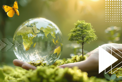 ISO 14001 y gestión ambiental