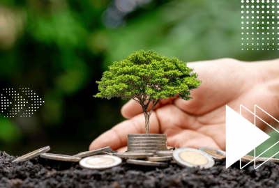 Publicada la nueva norma ISO 14001, el estándar de referencia para la gestión ambiental de las organizaciones