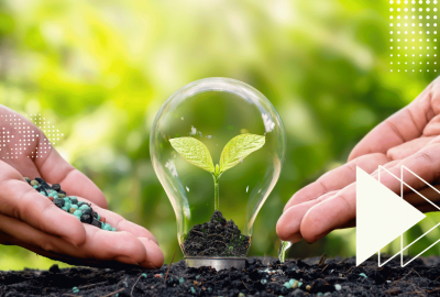 Todo lo que Debes Saber sobre la Norma ISO 14001:2015: Gestión Ambiental para el Futuro
