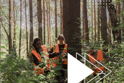ISO 14001:2026 Estructura de la norma en Sistema de Gestión Ambiental 